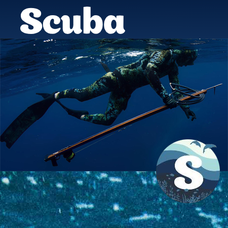Scuba