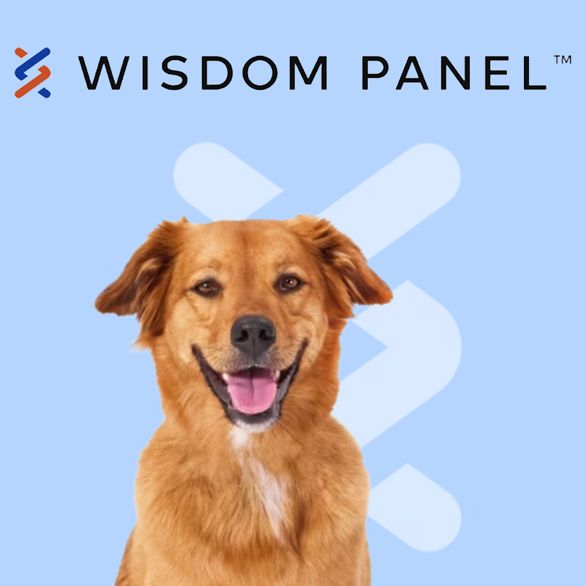 Wisdom Panel