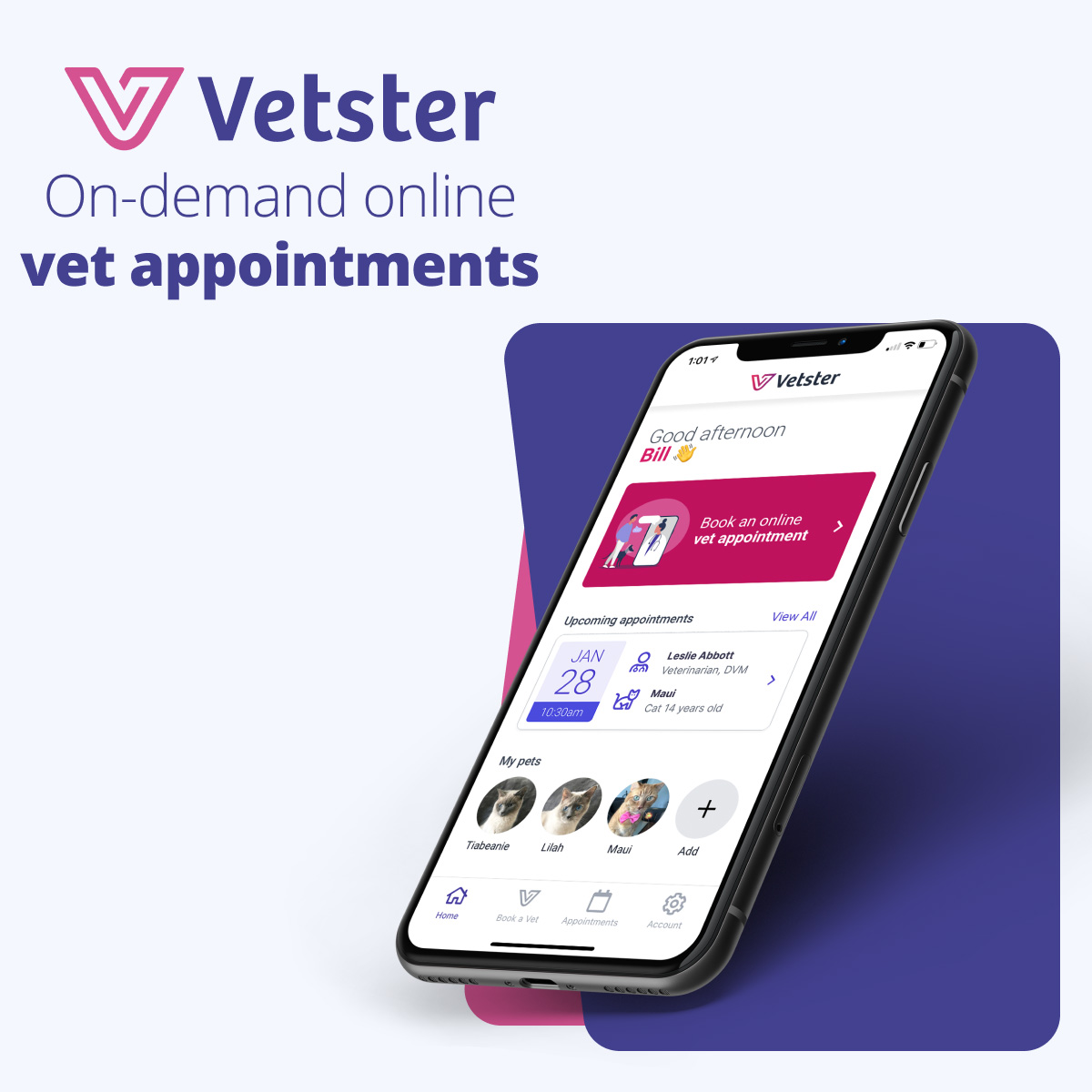 vetster