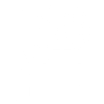 Rogue Media Network